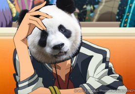 A Dandy Panda