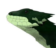 GSungazer